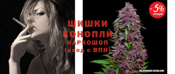 apvp Гусиноозёрск