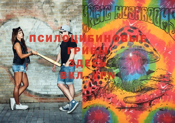 apvp Гусиноозёрск