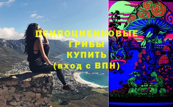apvp Гусиноозёрск
