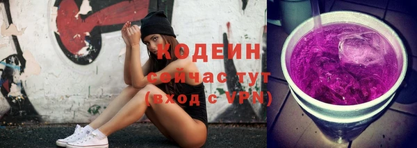 apvp Гусиноозёрск