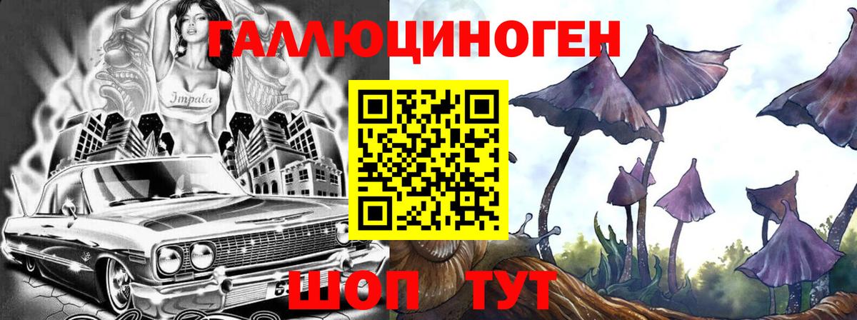 Дальнереченск  Галлюциногенные грибы мухоморы  Галлюциногенные грибы MAGIC MUSHROOMS  Вход с VPN 