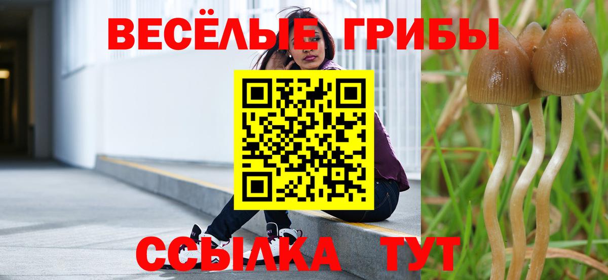 Галлюциногенные грибы мухоморы Дальнереченск