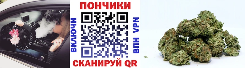 МАРИХУАНА конопля  Дальнереченск 
